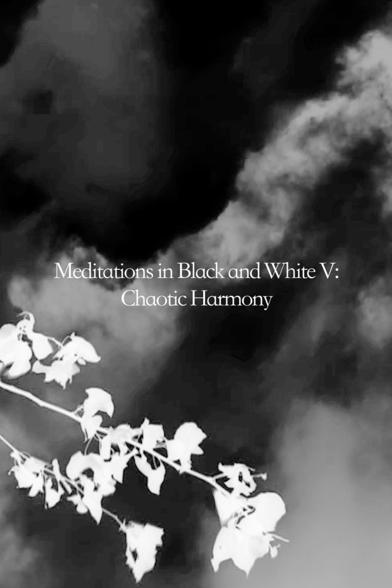 Poster of Meditations in Black and White V: Chaotic Harmony