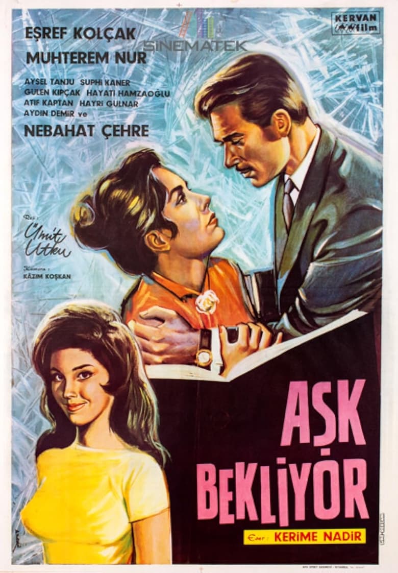 Poster of Aşk Bekliyor