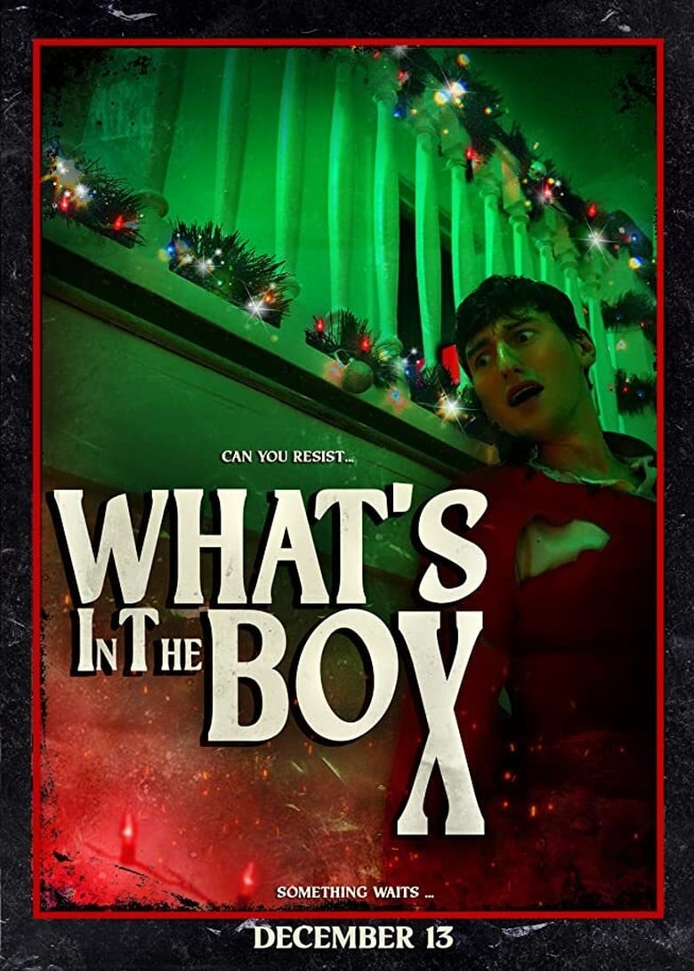 Poster of What's in the Box