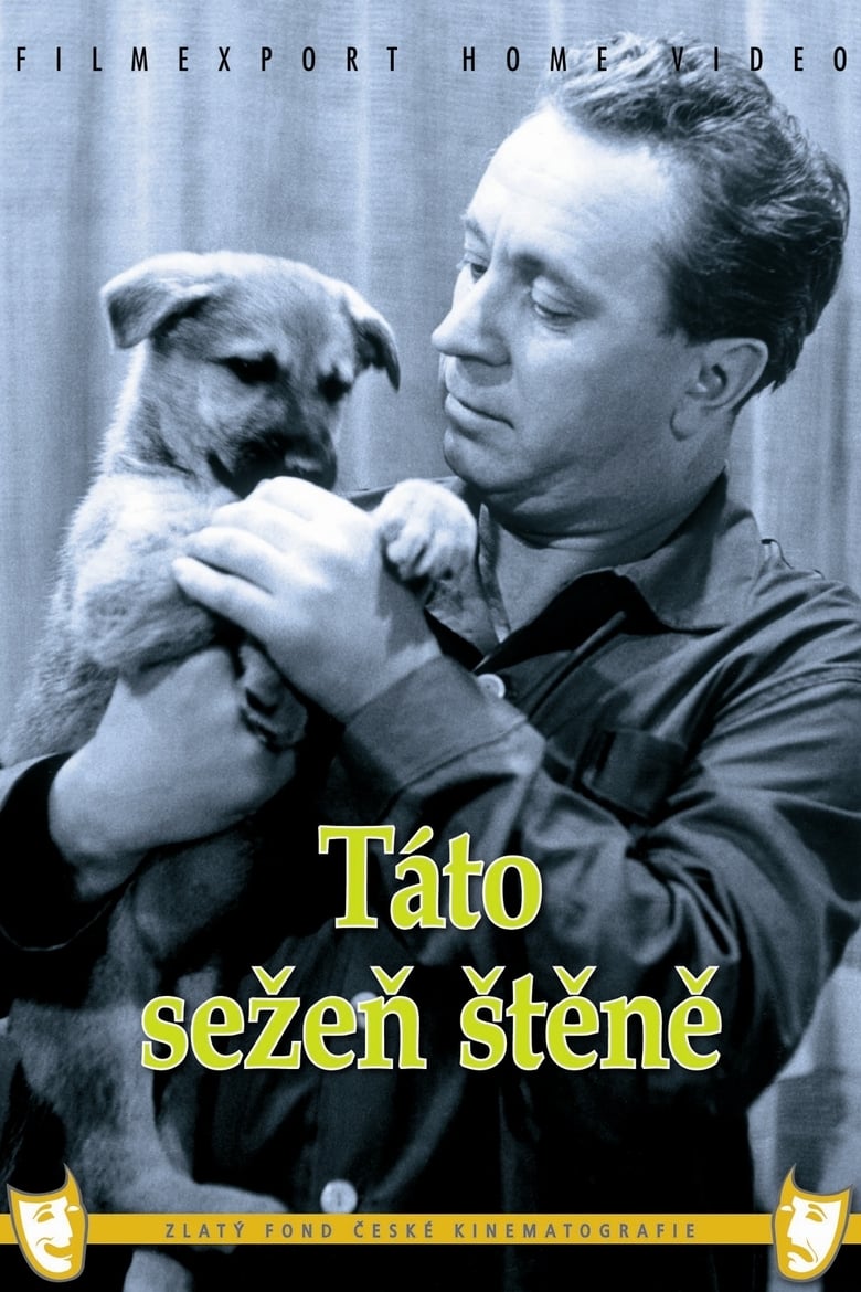 Poster of Táto sežeň štěně