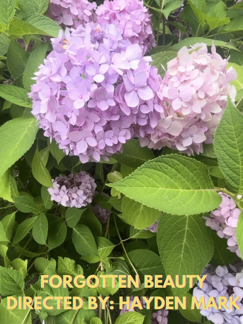 Poster of Forgotten Beauty