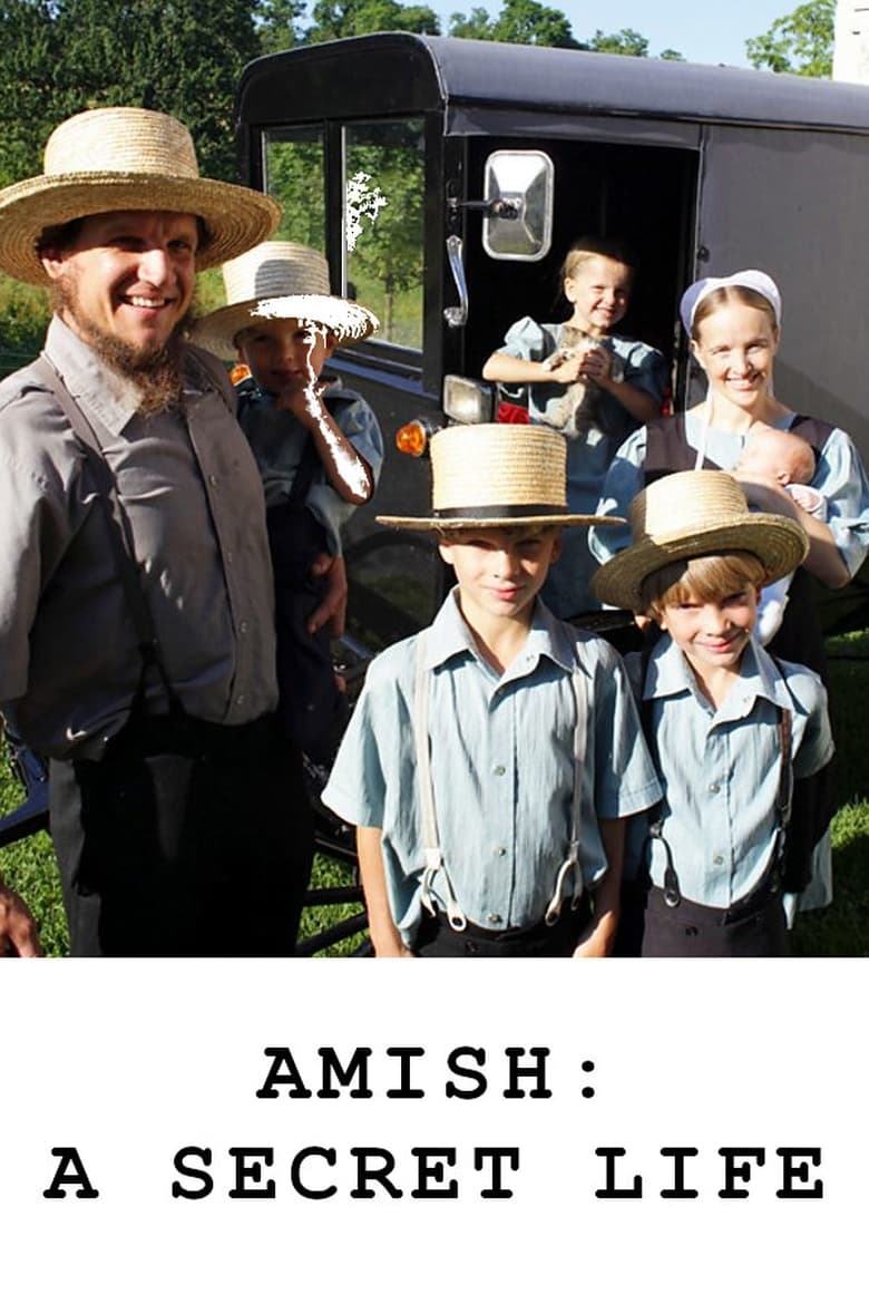 Poster of Amish: A Secret Life