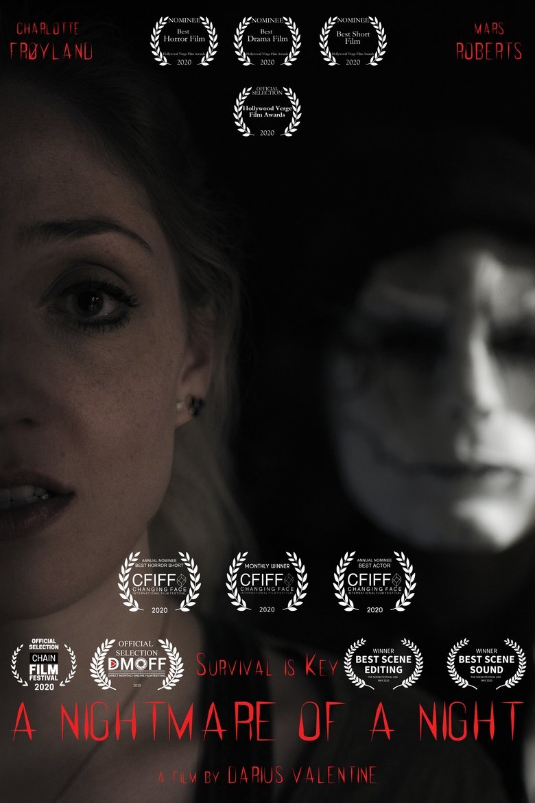 Poster of A Nightmare of a Night