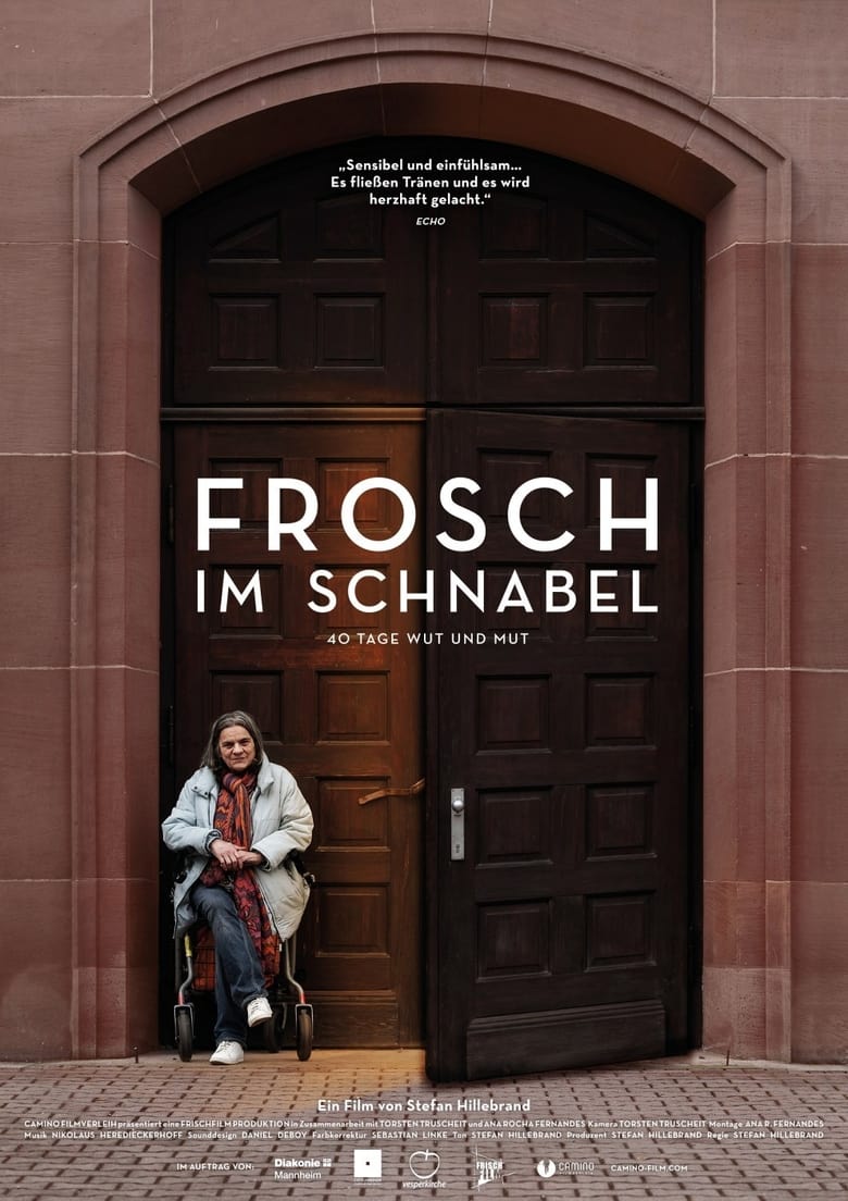 Poster of Frosch im Schnabel