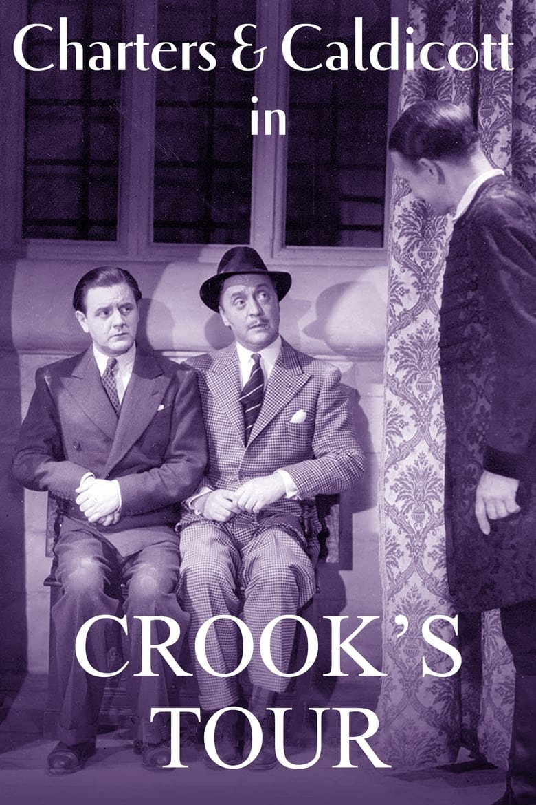 Poster of Crook's Tour