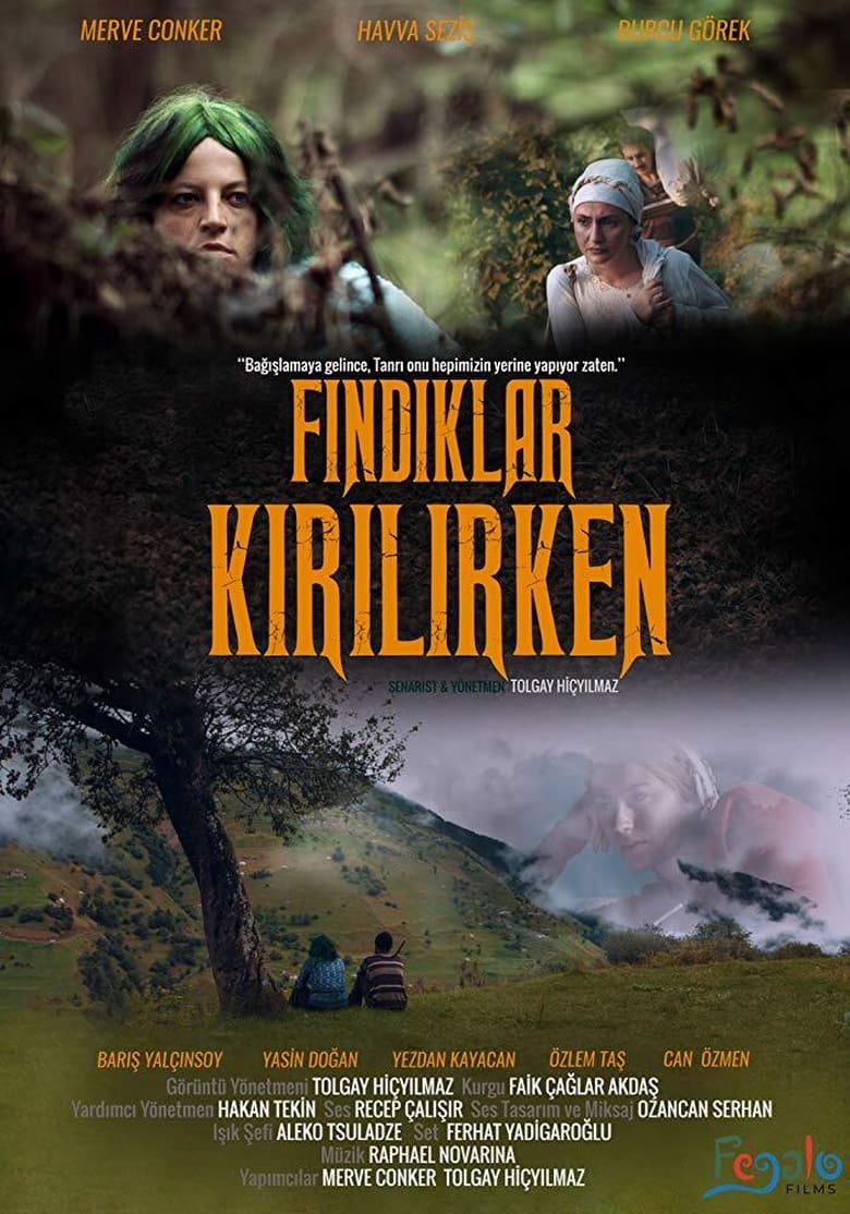 Poster of Fındıklar Kırılırken