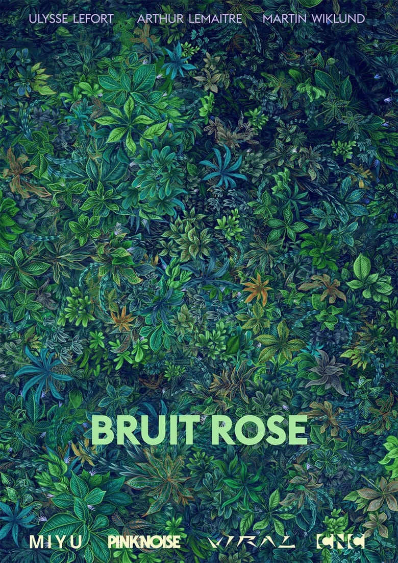 Poster of Bruit Rose