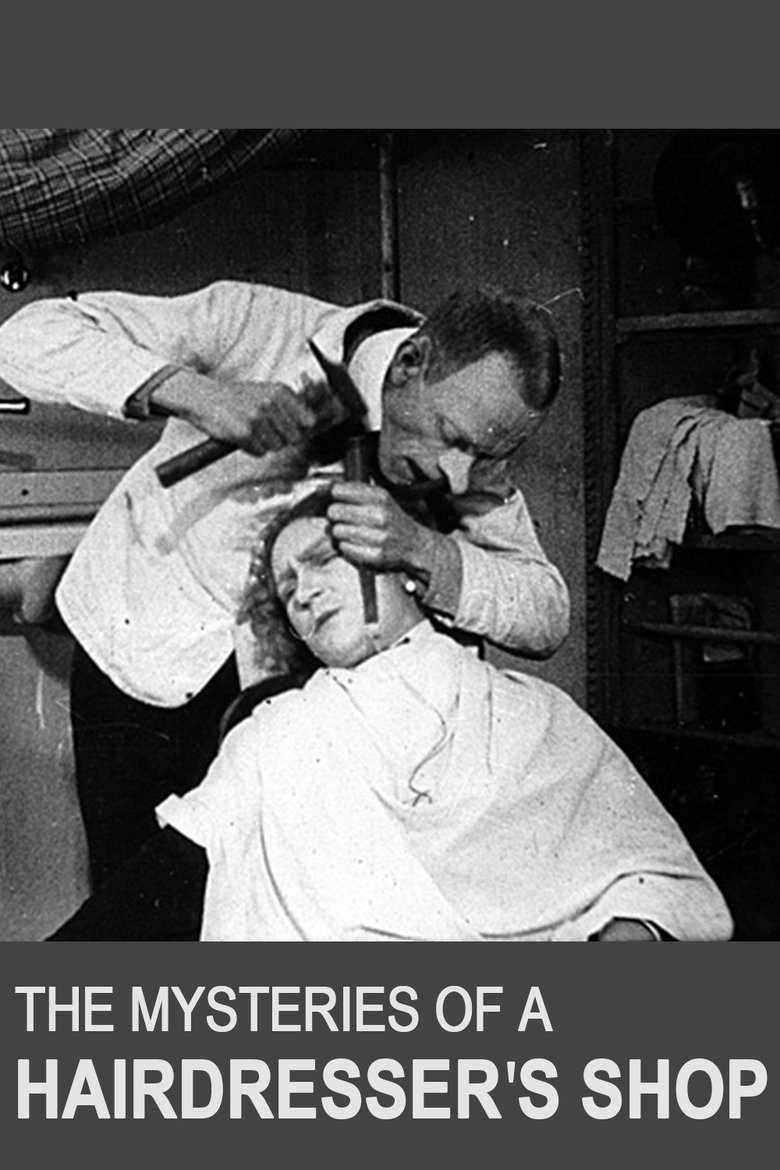 Poster of The Mysteries of a Hairdresser's Shop
