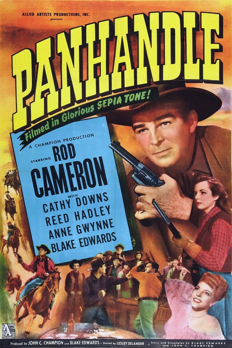 Poster of Panhandle