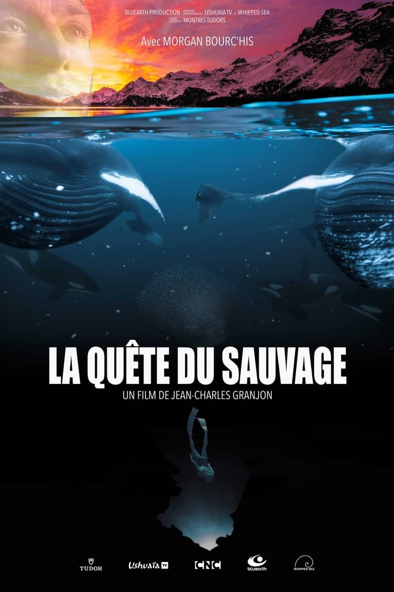 Poster of La Quête du sauvage