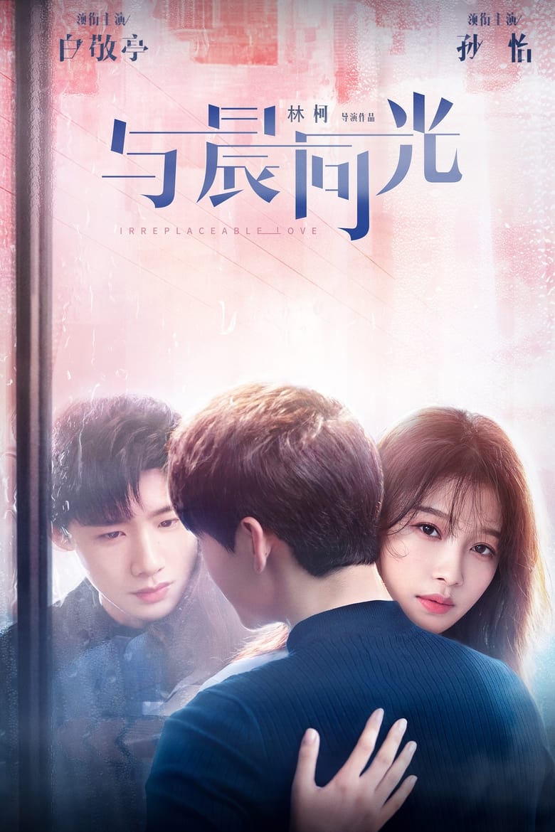 Poster of Irreplaceable Love