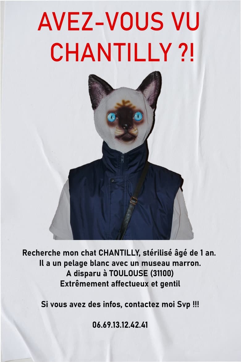 Poster of AVEZ-VOUS VU CHANTILLY ?!