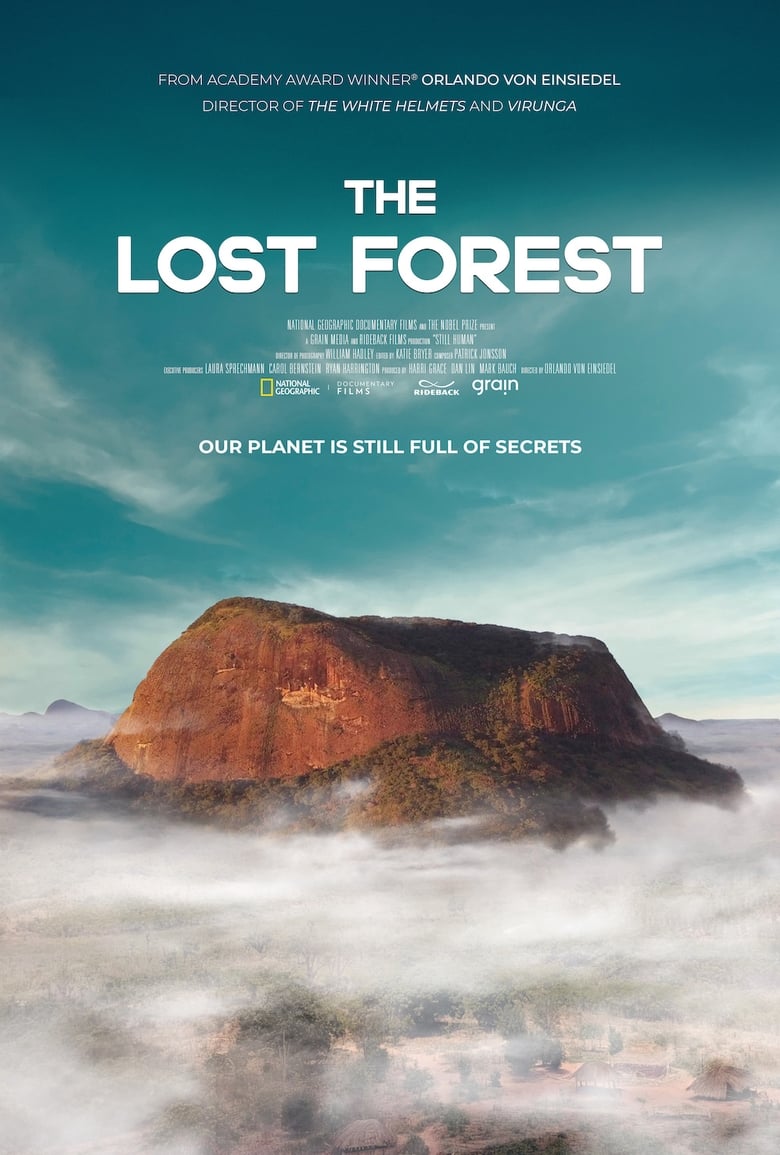 Poster of The Lost Forest