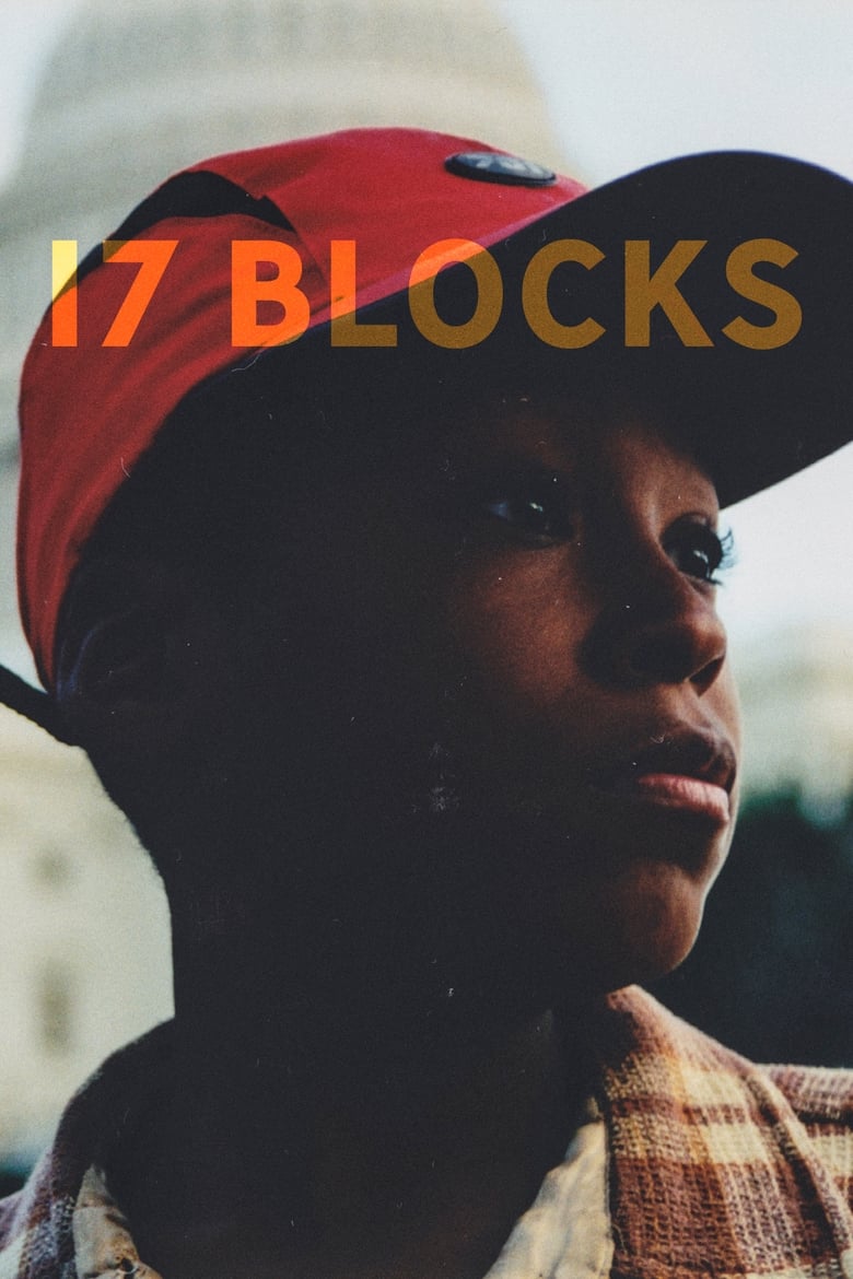 Poster of 17 Blocks