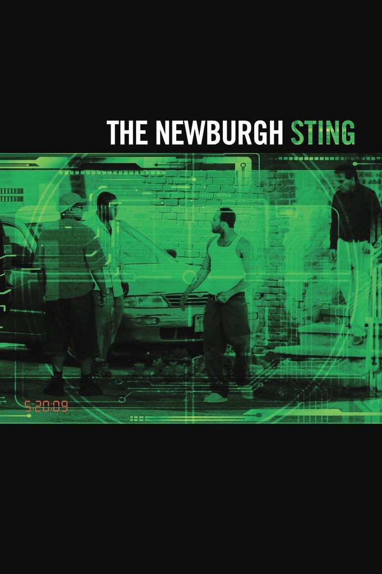 Poster of The Newburgh Sting