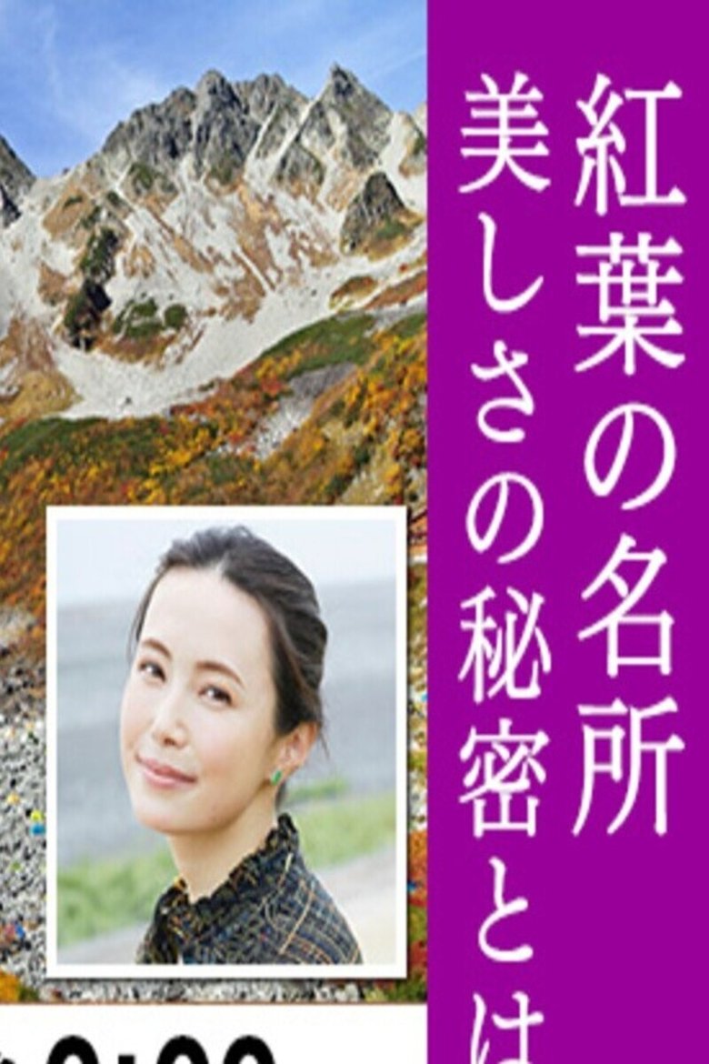 Poster of 絶景満喫!北アルプス 涸沢カールの紅葉