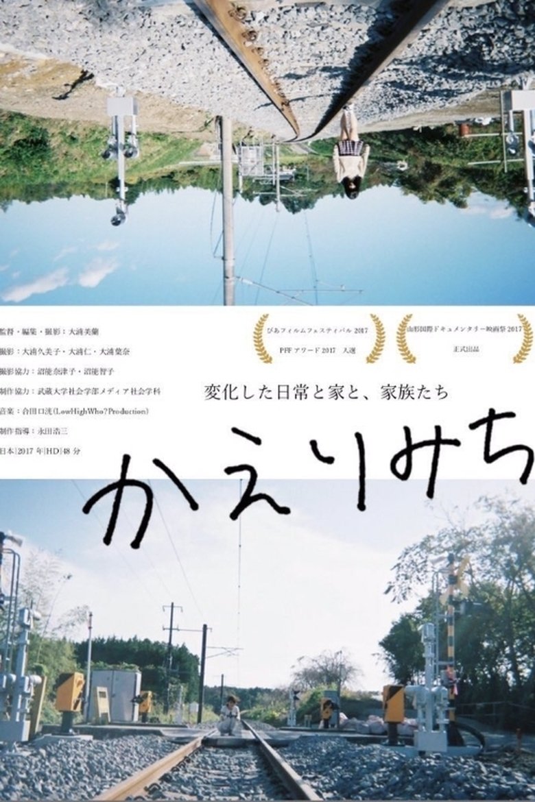 Poster of The Road Home