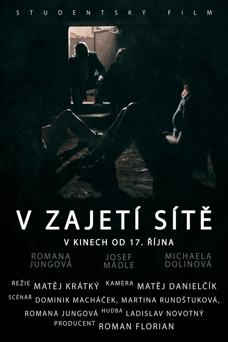 Poster of V zajetí sítě