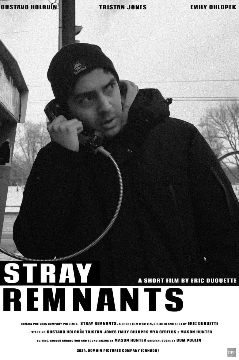 Poster of Stray Remnants