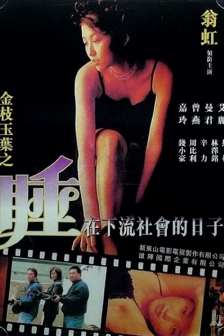 Poster of Undercover Girls