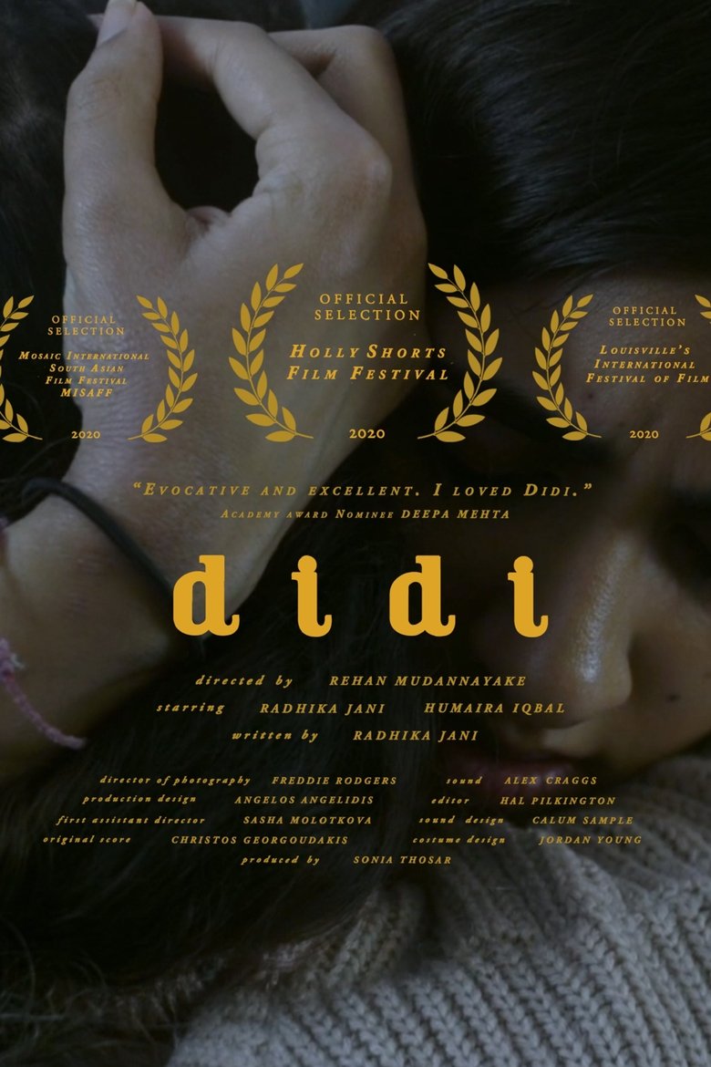 Poster of Didi