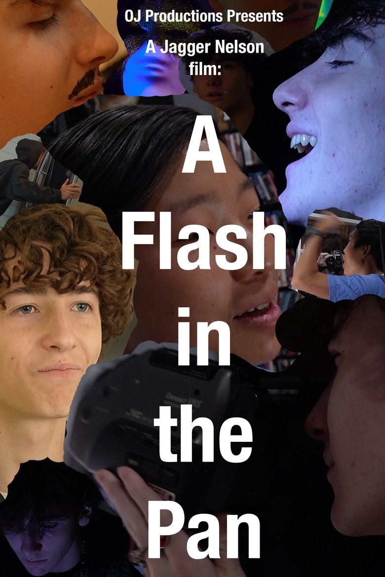 Poster of A Flash in The Pan