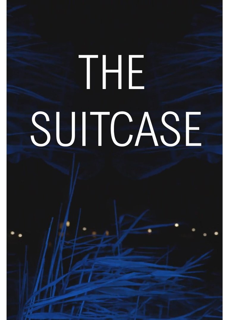 Poster of The Suitcase