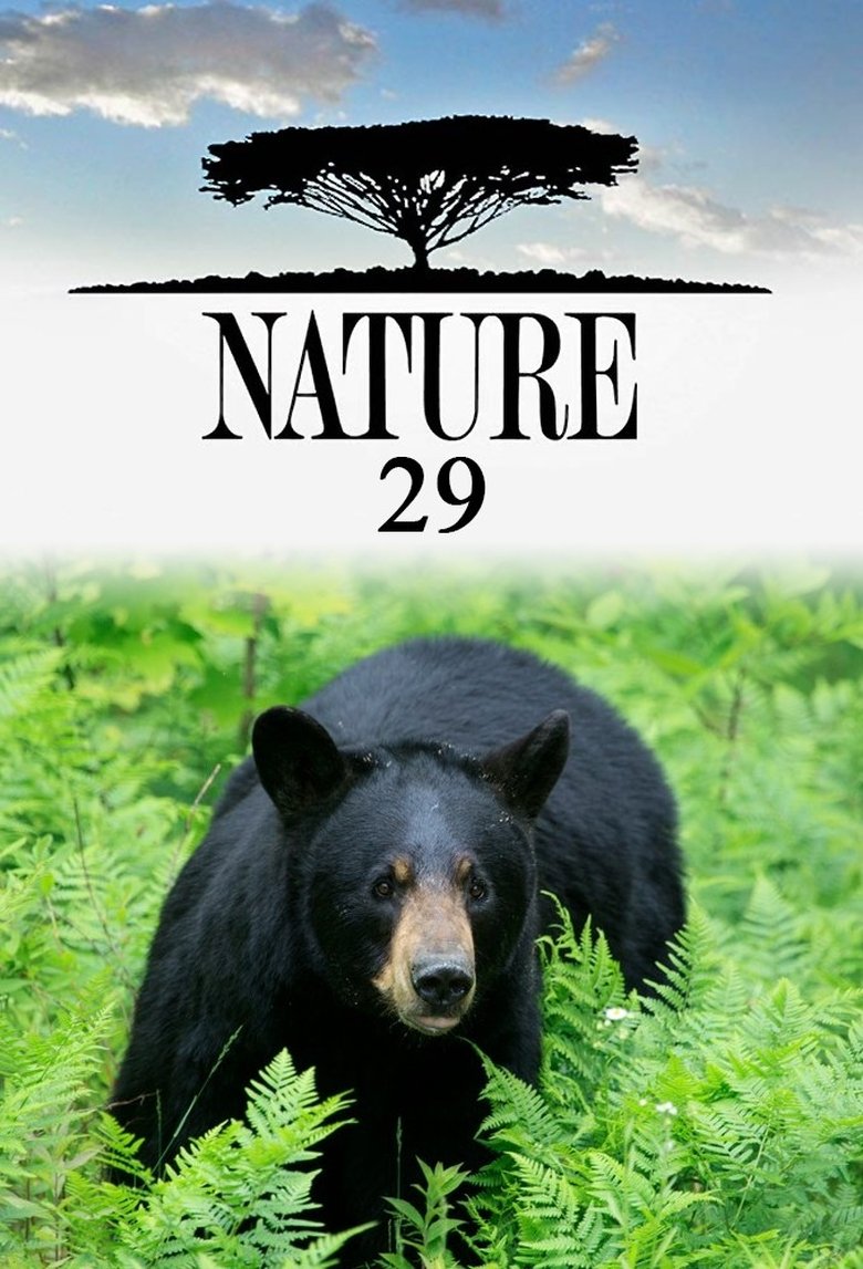 Poster of Episodes in Nature - Season 29 - Season 29
