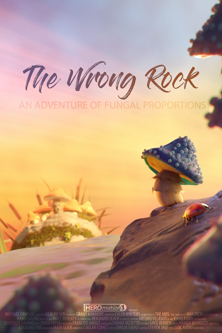 Poster of The Wrong Rock