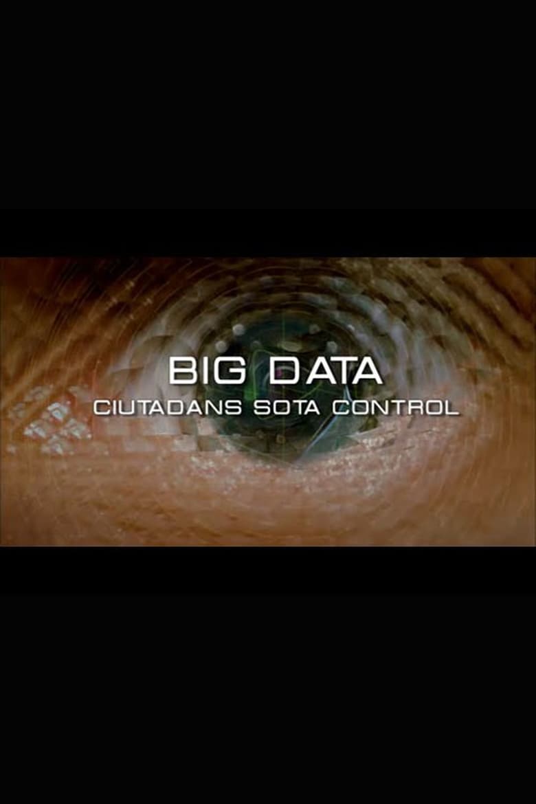 Poster of Big Data. Ciudadanos bajo control