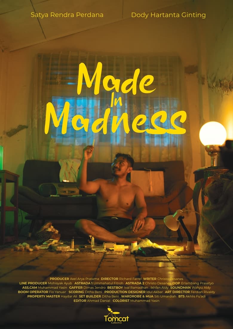 Poster of Made in Madness