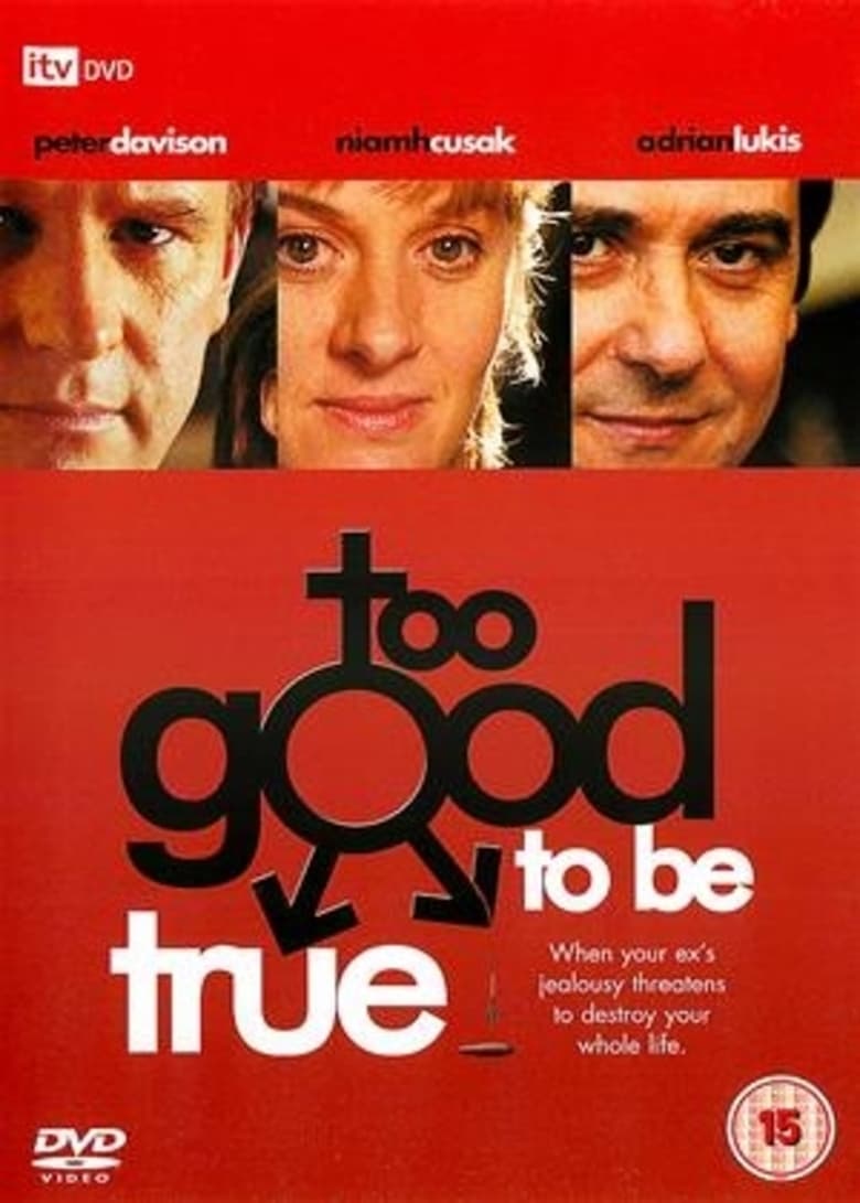 Poster of Too Good to Be True