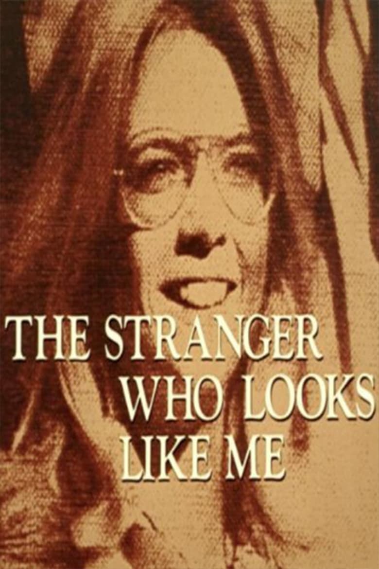 Poster of The Stranger Who Looks Like Me