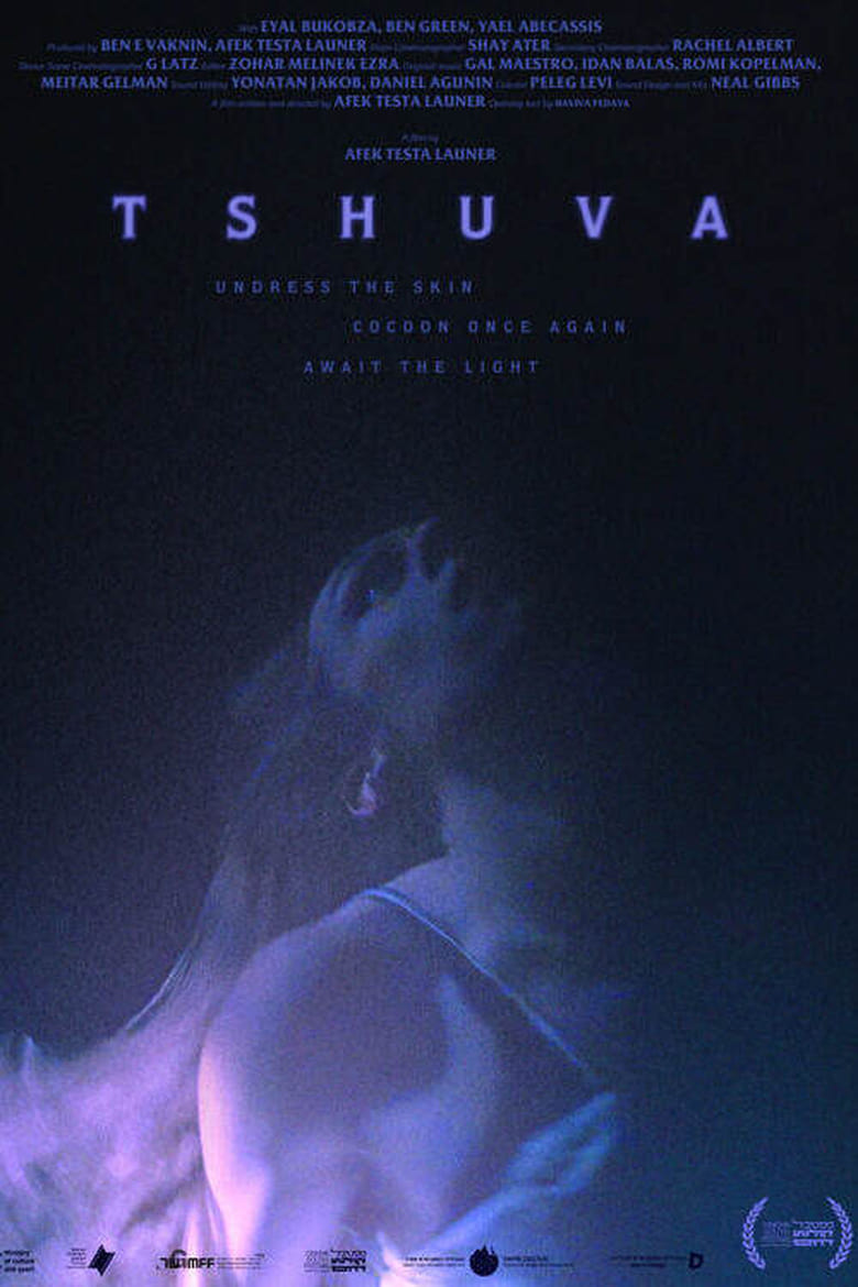 Poster of Tshuva