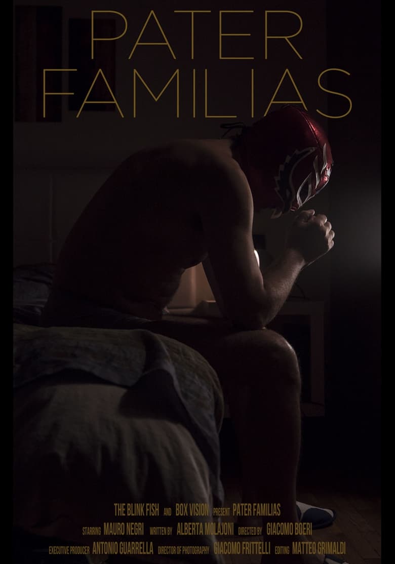 Poster of Pater Familias