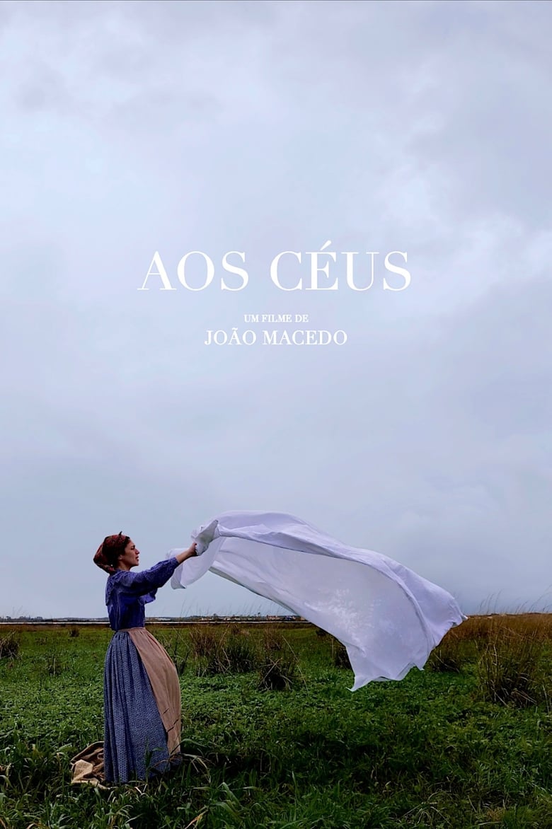 Poster of Aos Céus