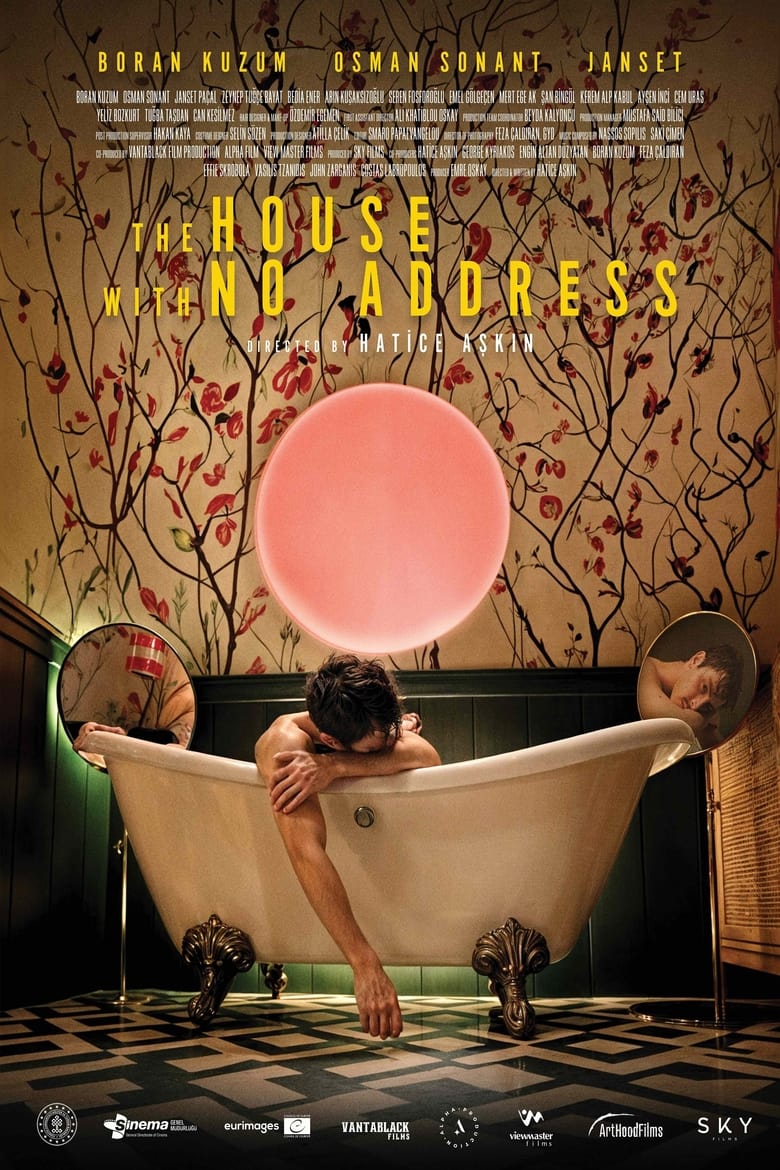 Poster of The House With No Address