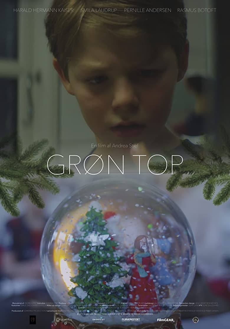 Poster of Grøn top