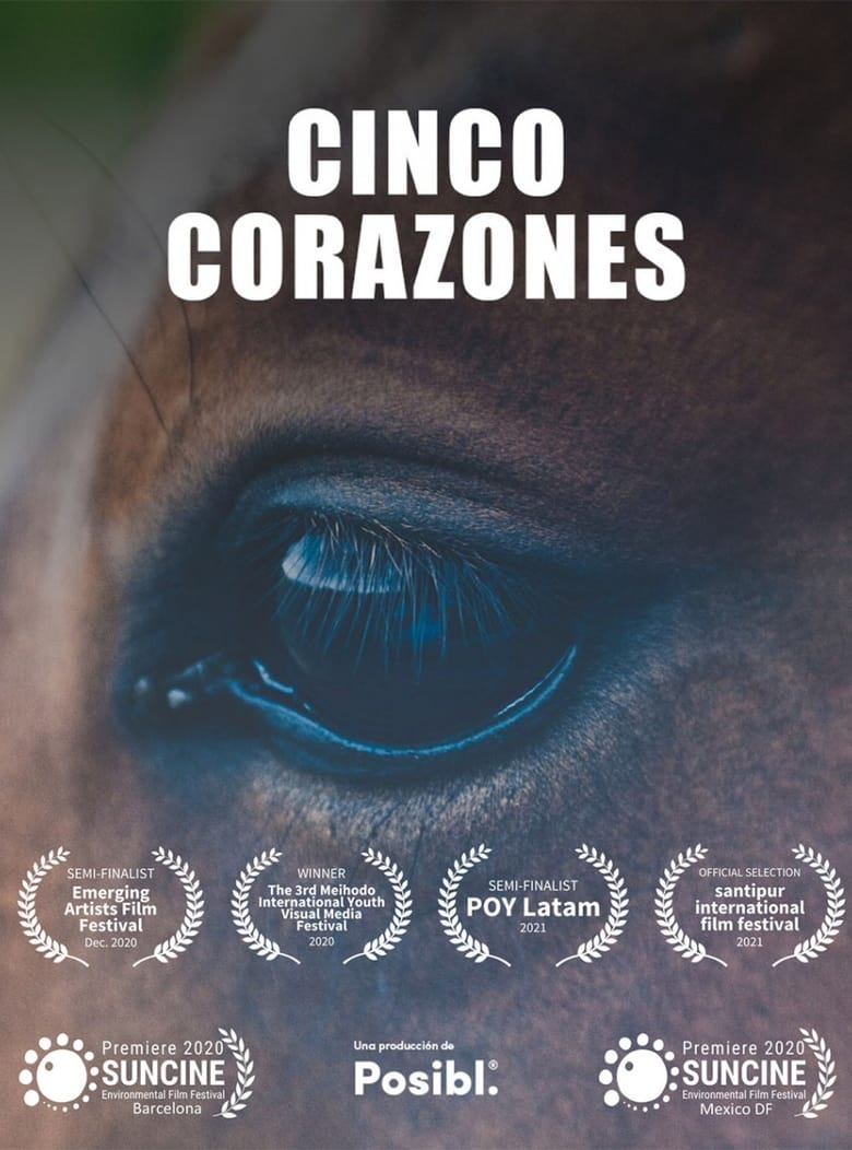 Poster of Cinco Corazones