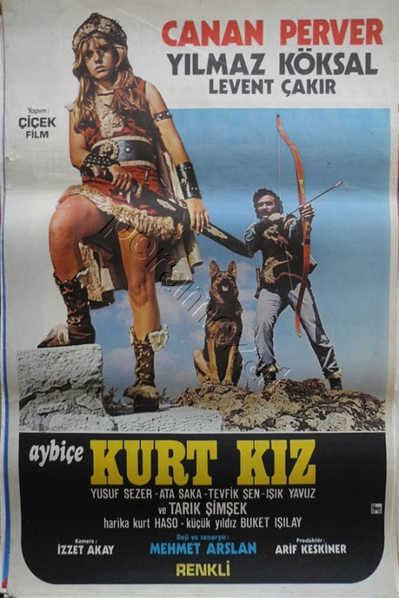 Poster of Aybiçe Kurt Kız