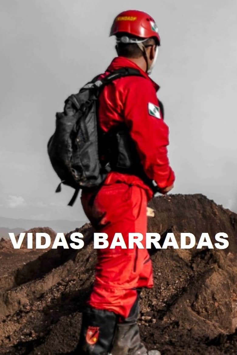 Poster of Vidas Barradas