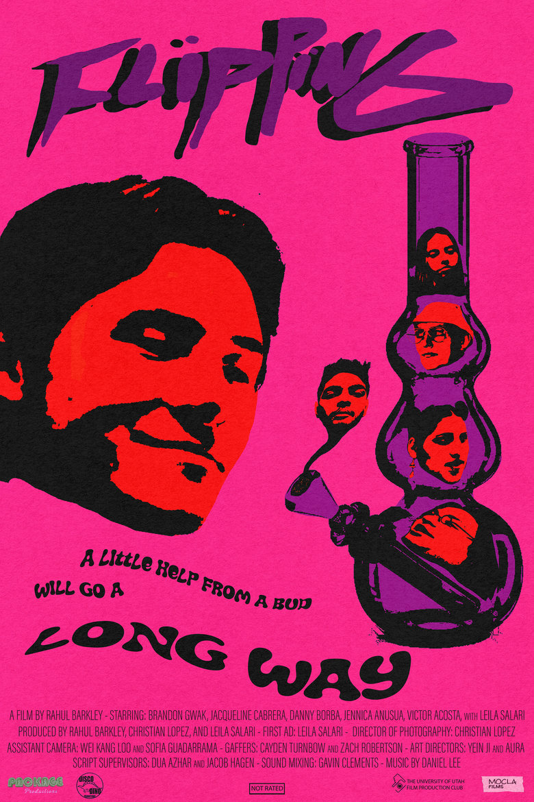 Poster of Flipping