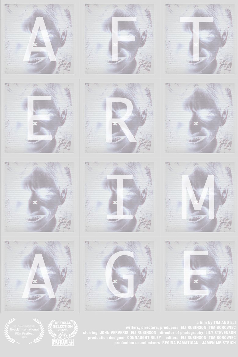 Poster of Afterimage