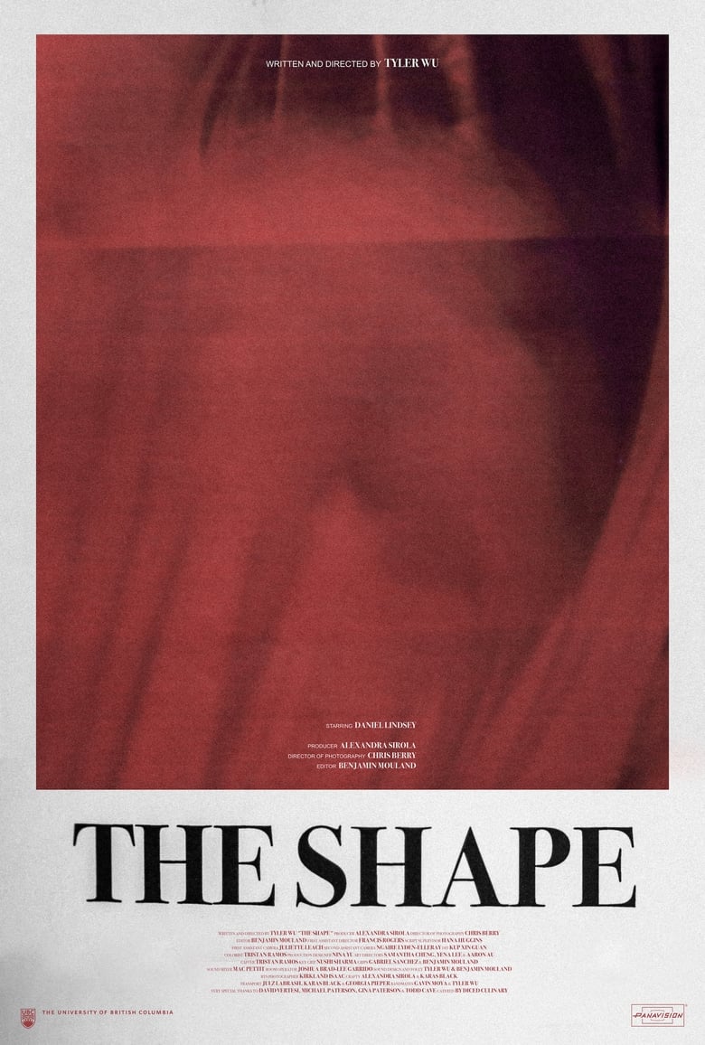 Poster of The Shape