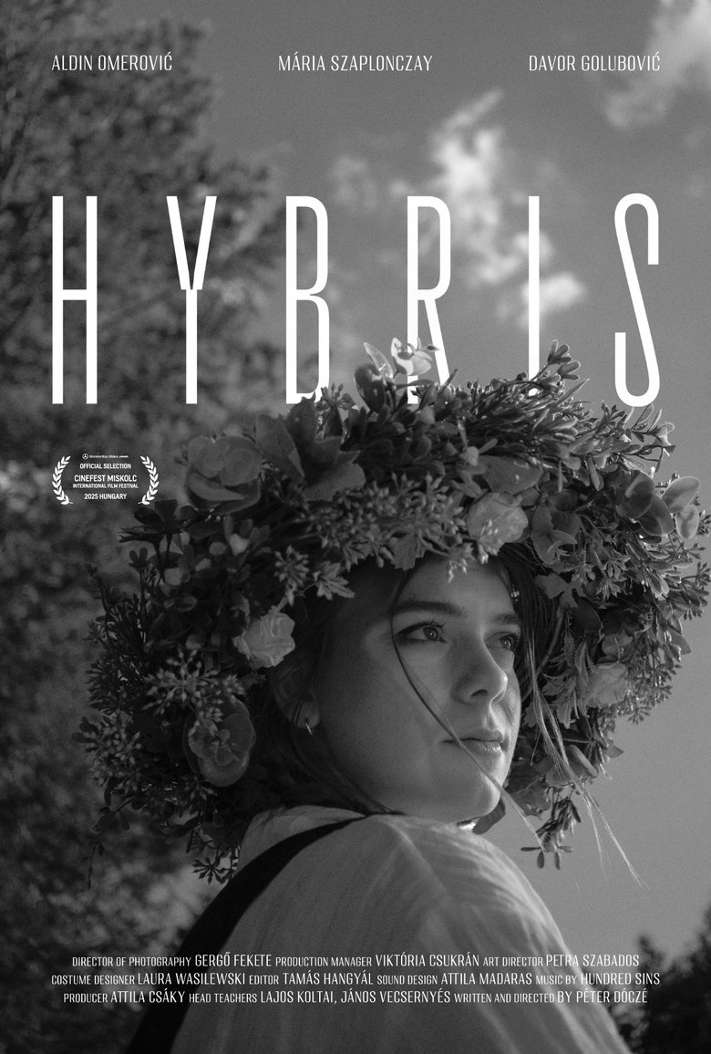 Poster of Hybris