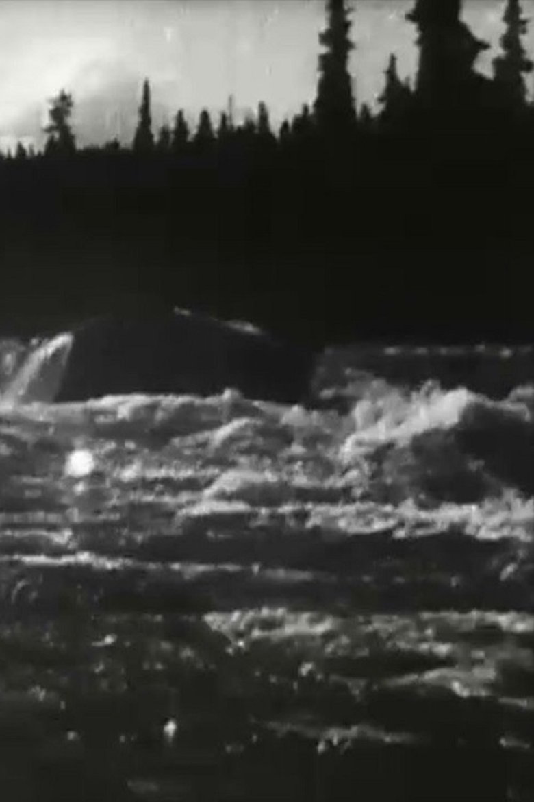 Poster of White Horse Rapids