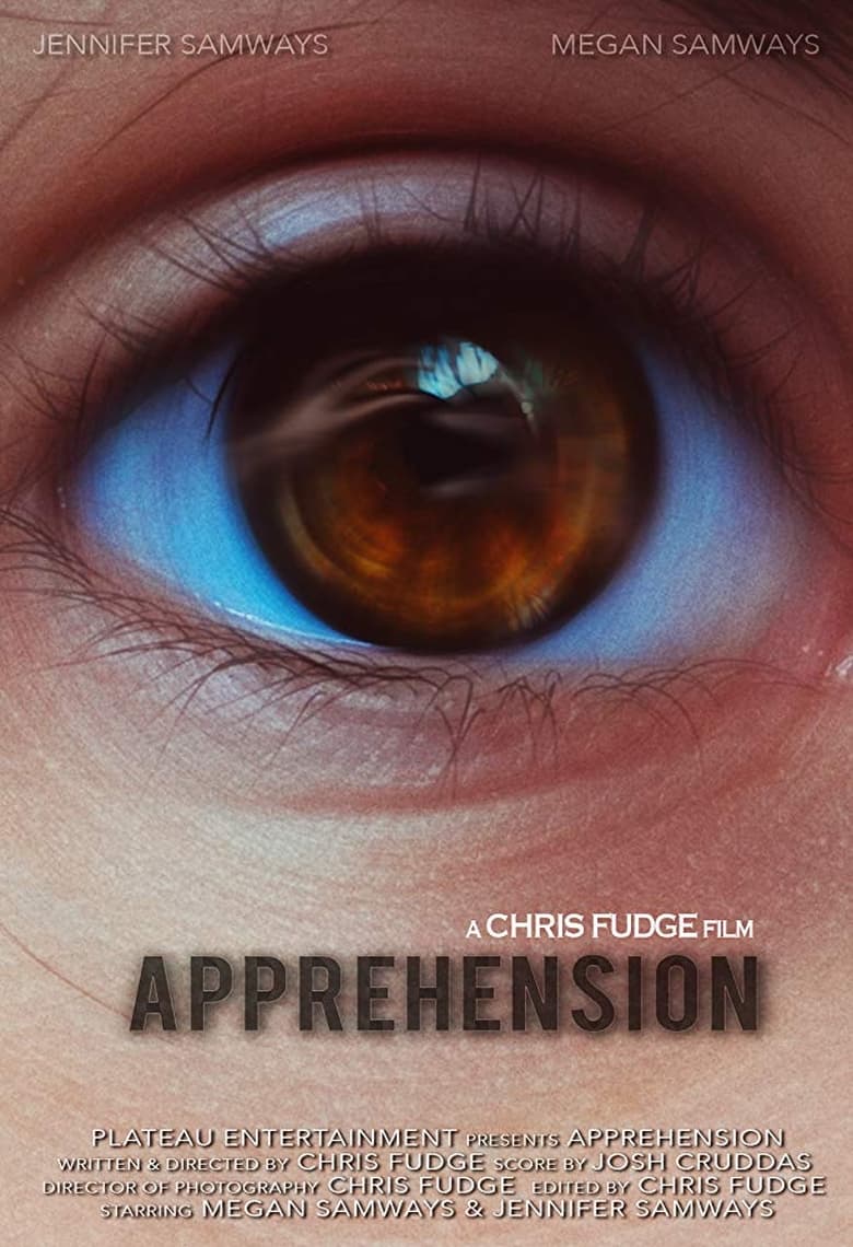 Poster of Apprehension