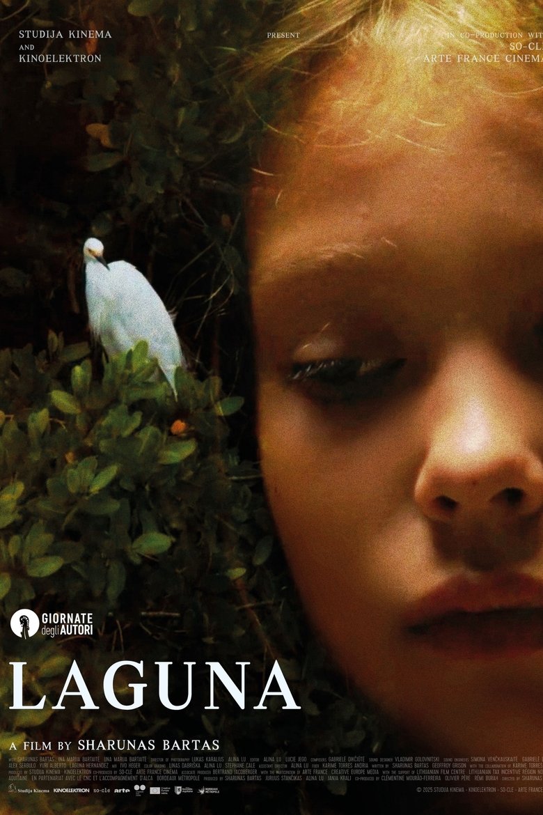Poster of Laguna