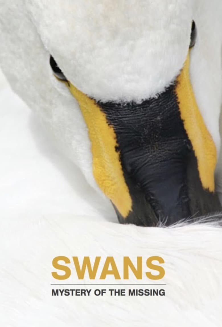 Poster of Swans: Mystery of the Missing