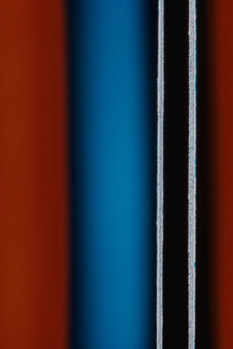 Poster of Light Traps